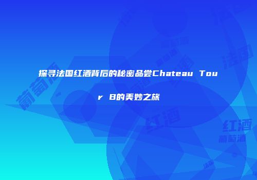 探寻法国红酒背后的秘密品尝Chateau Tour B的美妙之旅