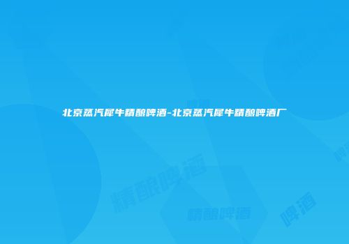 北京蒸汽犀牛精酿啤酒-北京蒸汽犀牛精酿啤酒厂
