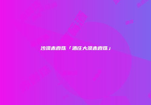 沙漠赤霞珠「酒庄大漠赤霞珠」
