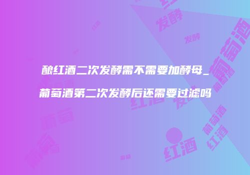 酿红酒二次发酵需不需要加酵母_葡萄酒第二次发酵后还需要过滤吗