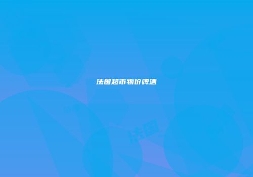 法国超市物价啤酒