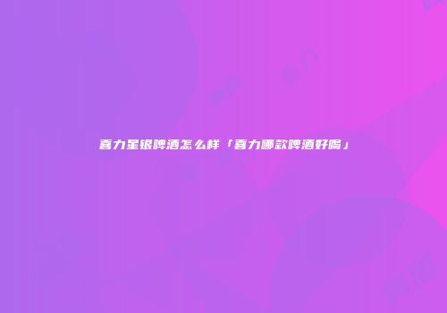 喜力星银啤酒怎么样「喜力哪款啤酒好喝」