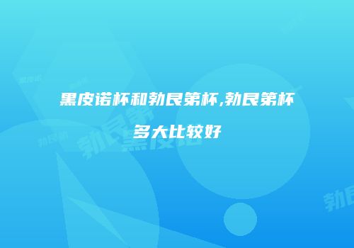 黑皮诺杯和勃艮第杯,勃艮第杯多大比较好
