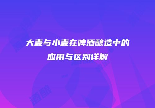 大麦与小麦在啤酒酿造中的应用与区别详解