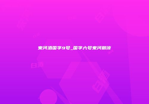 宋河酒国字9号_国字六号宋河粮液