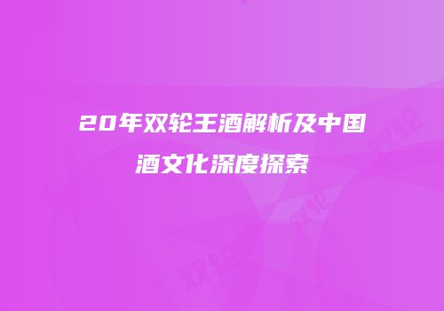 20年双轮王酒解析及中国酒文化深度探索