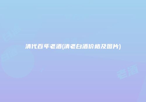 清代百年老酒(清老白酒价格及图片)