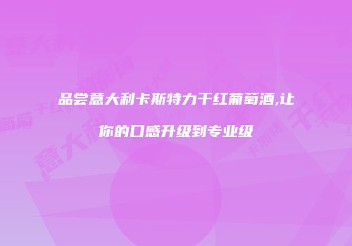品尝意大利卡斯特力干红葡萄酒,让你的口感升级到专业级