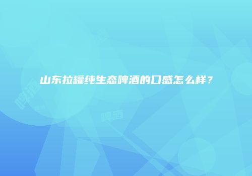 山东拉罐纯生态啤酒的口感怎么样？