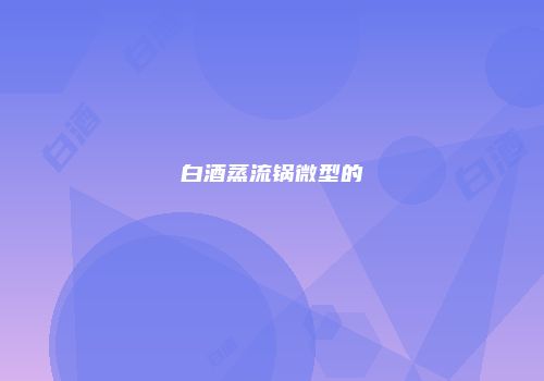 白酒蒸流锅微型的