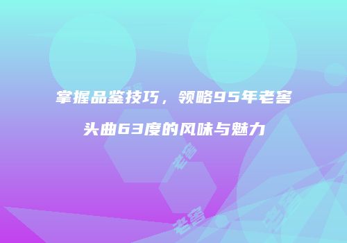 掌握品鉴技巧，领略95年老窖头曲63度的风味与魅力