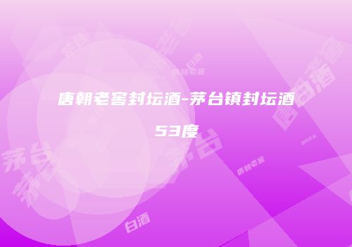 唐朝老窖封坛酒-茅台镇封坛酒53度
