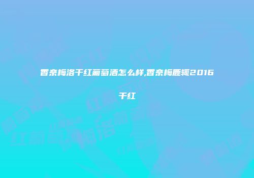 香奈梅洛干红葡萄酒怎么样,香奈梅鹿辄2016干红