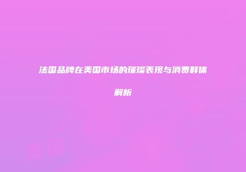 法国品牌在美国市场的璀璨表现与消费群体解析