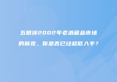 五粮液2002年老酒藏品市场的新宠，你是否已经趁低入手？