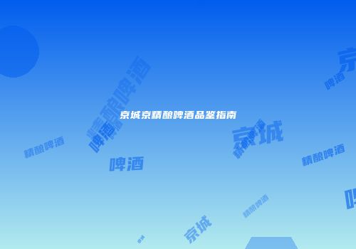 京城京精酿啤酒品鉴指南