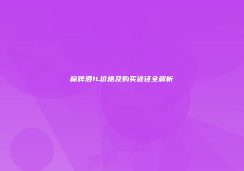 棕啤酒1L价格及购买途径全解析