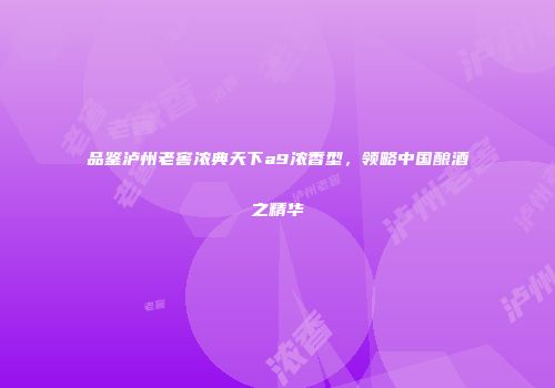 品鉴泸州老窖浓典天下a9浓香型，领略中国酿酒之精华