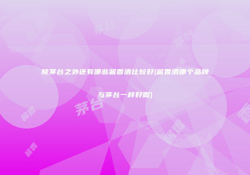 除茅台之外还有哪些酱香酒比较好(酱香酒哪个品牌与茅台一样好喝)