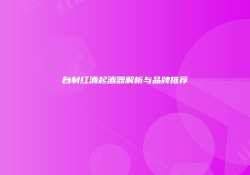 自制红酒起酒器解析与品牌推荐