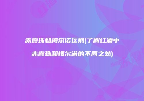 赤霞珠和梅尔诺区别(了解红酒中赤霞珠和梅尔诺的不同之处)