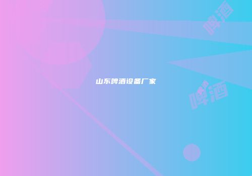 山东啤酒设备厂家