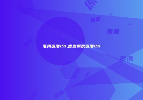 毫州贡酒20,曹嵩原浆贡酒20
