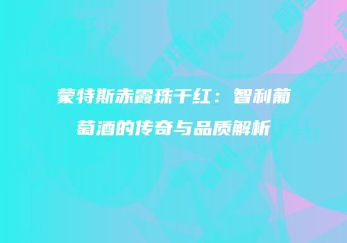 蒙特斯赤霞珠干红：智利葡萄酒的传奇与品质解析