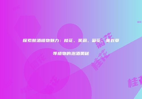 探索酿酒植物魅力：桂花、茉莉、菊花、薰衣草等植物的泡酒奥秘