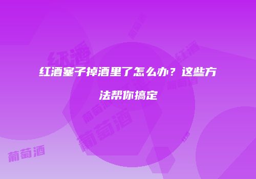 红酒塞子掉酒里了怎么办？这些方法帮你搞定