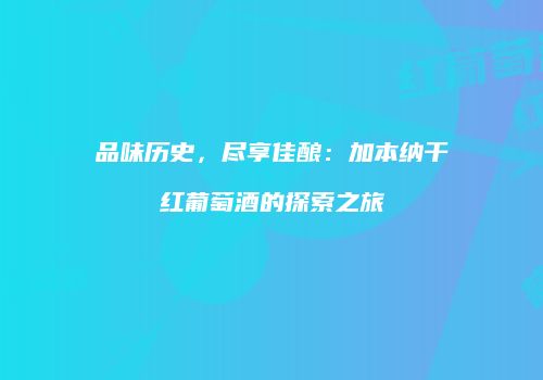 品味历史，尽享佳酿：加本纳干红葡萄酒的探索之旅