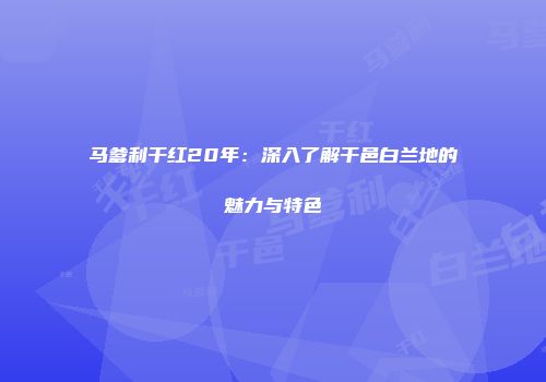马爹利干红20年：深入了解干邑白兰地的魅力与特色