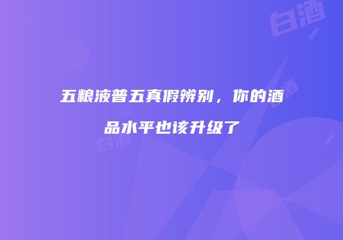 五粮液普五真假辨别，你的酒品水平也该升级了