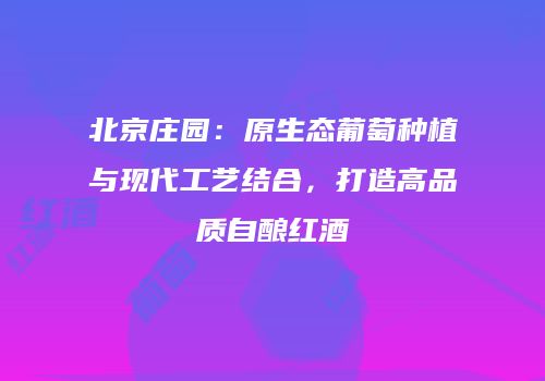 北京庄园：原生态葡萄种植与现代工艺结合，打造高品质自酿红酒