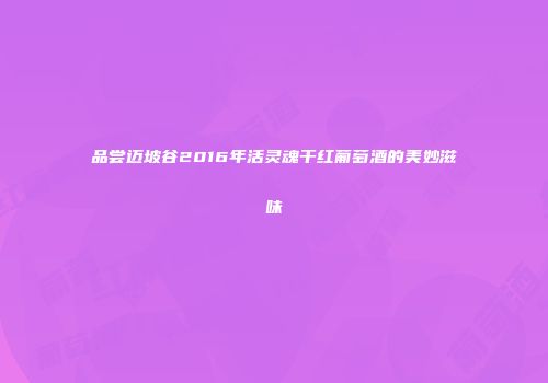 品尝迈坡谷2016年活灵魂干红葡萄酒的美妙滋味