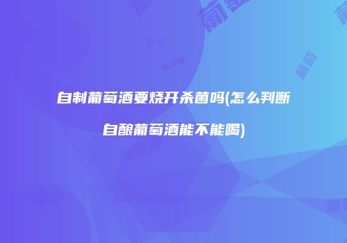 自制葡萄酒要烧开杀菌吗(怎么判断自酿葡萄酒能不能喝)