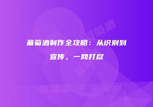 葡萄酒制作全攻略：从识别到宣传，一网打尽