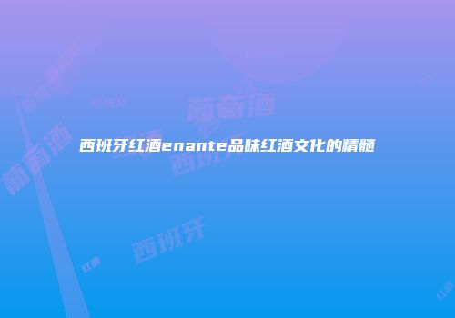 西班牙红酒enante品味红酒文化的精髓