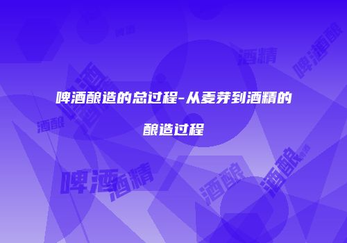 啤酒酿造的总过程-从麦芽到酒精的酿造过程