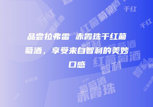 品尝拉弗雷 赤霞珠干红葡萄酒，享受来自智利的美妙口感