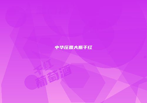 中华庄园大瓶干红