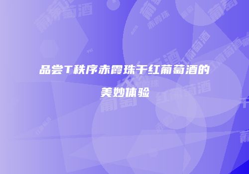 品尝T秩序赤霞珠干红葡萄酒的美妙体验