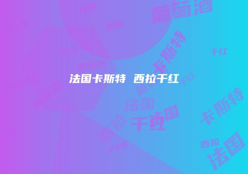 法国卡斯特 西拉干红