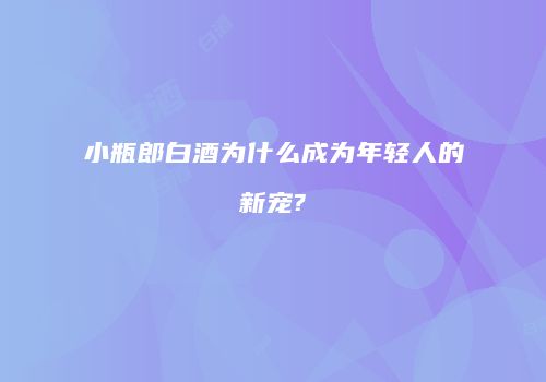 小瓶郎白酒为什么成为年轻人的新宠?