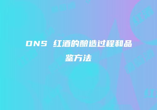 DNS 红酒的酿造过程和品鉴方法