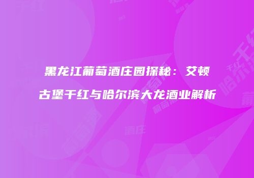黑龙江葡萄酒庄园探秘：艾顿古堡干红与哈尔滨大龙酒业解析