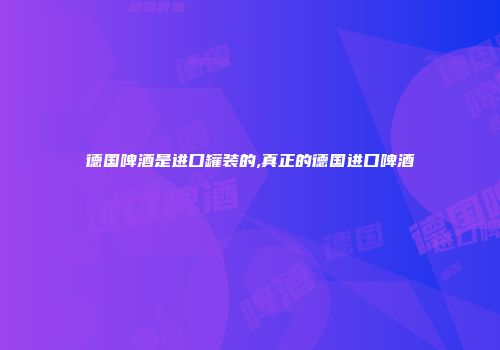 德国啤酒是进口罐装的,真正的德国进口啤酒