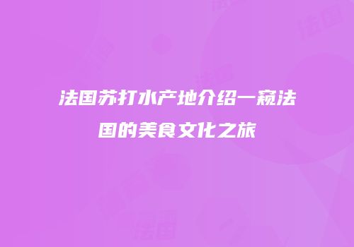 法国苏打水产地介绍一窥法国的美食文化之旅