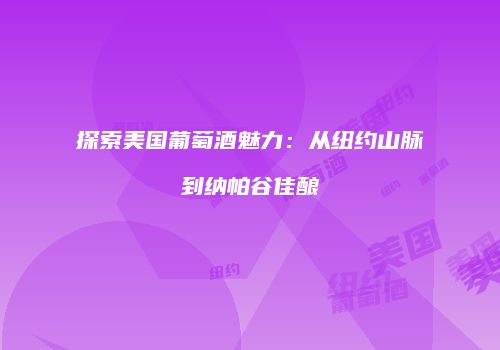 探索美国葡萄酒魅力：从纽约山脉到纳帕谷佳酿