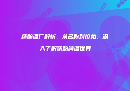 精酿酒厂解析：从名称到价格，深入了解精酿啤酒世界